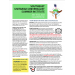 thumbnail image of the confirmation nuus pdf